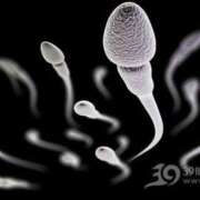 ヒメ日記 2025/02/13 19:27 投稿 中村 東京セレブな美人妻