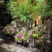 ヒメ日記 2025/06/15 04:50 投稿 中村 東京セレブな美人妻