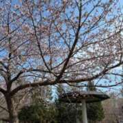 ヒメ日記 2026/04/27 13:48 投稿 夏希　ゆず 三ツ星Class