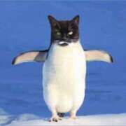 ヒメ日記 2025/11/24 01:40 投稿 さな INFINITY GOLD～インフィニティゴールド～