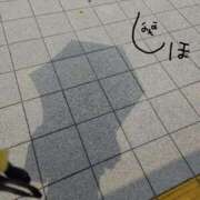 ヒメ日記 2025/07/10 09:52 投稿 志保 出会い系人妻ネットワーク 春日部〜岩槻編