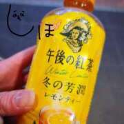 ヒメ日記 2026/02/12 09:54 投稿 志保 出会い系人妻ネットワーク 春日部〜岩槻編