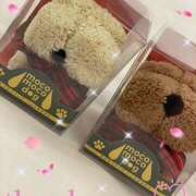 ヒメ日記 2025/12/29 20:31 投稿 ひかり 土山熟女・美少女ならココ！