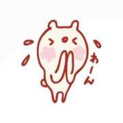 らむ 本日お休みします😭 横浜Cute