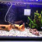 ヒメ日記 2025/03/05 09:47 投稿 ハナコ リッチドールなんば店