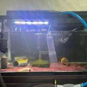 ヒメ日記 2025/07/10 13:46 投稿 ハナコ リッチドールなんば店