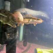 ヒメ日記 2025/07/18 13:06 投稿 ハナコ リッチドールなんば店