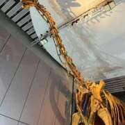 ヒメ日記 2025/08/06 10:26 投稿 ハナコ リッチドールなんば店