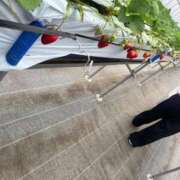 ヒメ日記 2026/04/16 11:26 投稿 ハナコ リッチドールなんば店