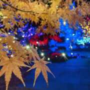 ヒメ日記 2024/12/18 09:30 投稿 もも 横浜熟女MAX