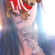 ヒメ日記 2024/12/19 09:30 投稿 もも 横浜熟女MAX