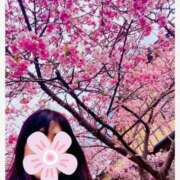 ヒメ日記 2025/03/09 09:25 投稿 もも 横浜熟女MAX