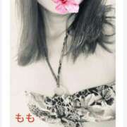 ヒメ日記 2025/04/15 09:26 投稿 もも 横浜熟女MAX