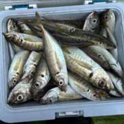 ヒメ日記 2025/04/25 09:09 投稿 もも 横浜熟女MAX