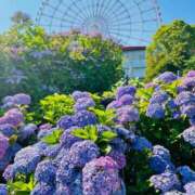 ヒメ日記 2025/06/04 11:05 投稿 もも 横浜熟女MAX