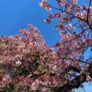 ヒメ日記 2025/02/25 13:41 投稿 はな ANGEL KISS 池袋