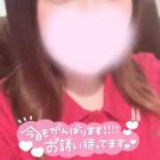 ヒメ日記 2025/09/07 13:17 投稿 まこ 錦糸町人妻ヒットパレード（シンデレラグループ）