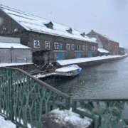 ヒメ日記 2025/03/25 11:31 投稿 みなみ 横浜人妻セレブリティ（ユメオト）