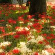 ヒメ日記 2025/10/20 18:23 投稿 涼子 シャトーペトラ