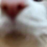 涼子 お日にち変更 シャトーペトラ