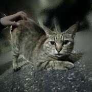 ヒメ日記 2026/01/13 23:10 投稿 涼子 シャトーペトラ