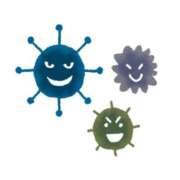 フウア ごめんなさい😢 バニーコレクション秋田店