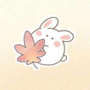 フウア お知らせ💌 バニーコレクション秋田店