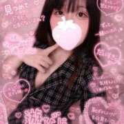 ヒメ日記 2026/07/03 15:30 投稿 まひろ Ｓ＆Ｍ極嬢