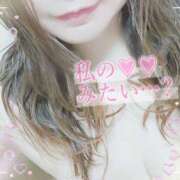 ヒメ日記 2025/02/05 15:55 投稿 もえか 木更津人妻花壇