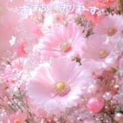 ヒメ日記 2025/02/23 17:38 投稿 もえか 木更津人妻花壇