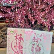 ヒメ日記 2025/03/01 18:16 投稿 もえか 木更津人妻花壇