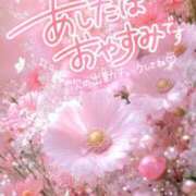 ヒメ日記 2025/03/12 01:04 投稿 もえか 木更津人妻花壇