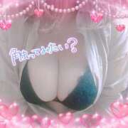 ヒメ日記 2025/03/13 12:17 投稿 もえか 木更津人妻花壇