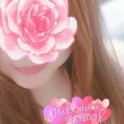 ヒメ日記 2025/03/30 12:53 投稿 もえか 木更津人妻花壇