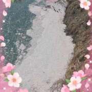 ヒメ日記 2025/04/09 16:41 投稿 もえか 木更津人妻花壇