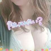 ヒメ日記 2025/04/16 13:10 投稿 もえか 木更津人妻花壇