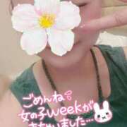 ヒメ日記 2025/04/23 09:24 投稿 もえか 木更津人妻花壇