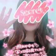 ヒメ日記 2025/05/04 12:12 投稿 もえか 木更津人妻花壇