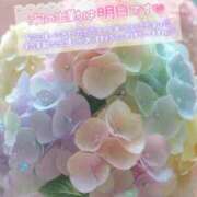 ヒメ日記 2025/05/25 02:04 投稿 もえか 木更津人妻花壇