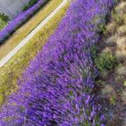 ヒメ日記 2025/07/10 16:52 投稿 もえか 木更津人妻花壇