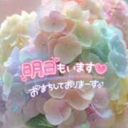 ヒメ日記 2025/08/02 00:40 投稿 もえか 木更津人妻花壇
