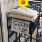 ヒメ日記 2025/08/14 12:52 投稿 もえか 木更津人妻花壇