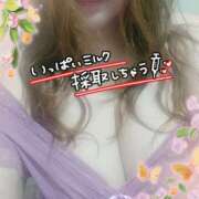 ヒメ日記 2025/10/27 16:26 投稿 もえか 木更津人妻花壇