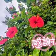 ヒメ日記 2025/10/29 21:06 投稿 もえか 木更津人妻花壇