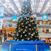 ヒメ日記 2025/11/06 23:28 投稿 もえか 木更津人妻花壇