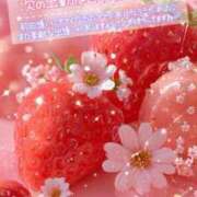 ヒメ日記 2025/12/03 01:36 投稿 もえか 木更津人妻花壇