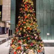 もえか クリスマスソング🎄🎶 木更津人妻花壇