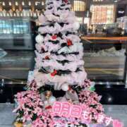 ヒメ日記 2025/12/21 21:22 投稿 もえか 木更津人妻花壇