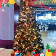 ヒメ日記 2025/12/23 13:37 投稿 もえか 木更津人妻花壇