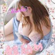 ヒメ日記 2025/12/26 14:51 投稿 もえか 木更津人妻花壇